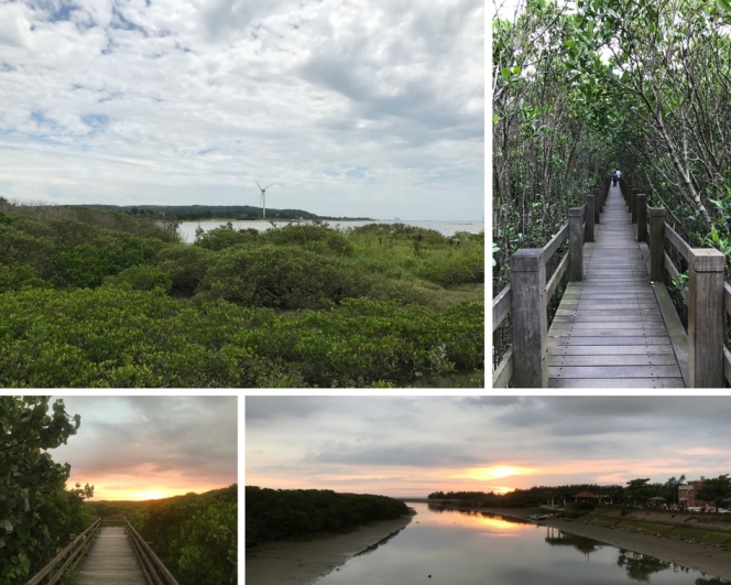 Mangrove Ecological Park